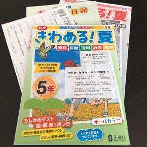 Amazon.co.jp: 0190 きわめる夏 5年 正進社 文章問題 小学 ドリル 国語